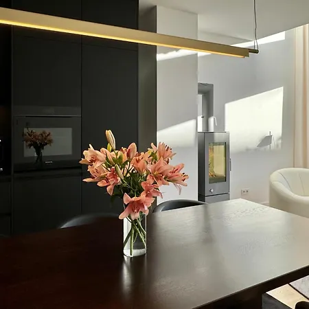 Townhouse Alaunpark-3